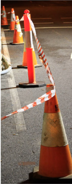 WHS image with cones